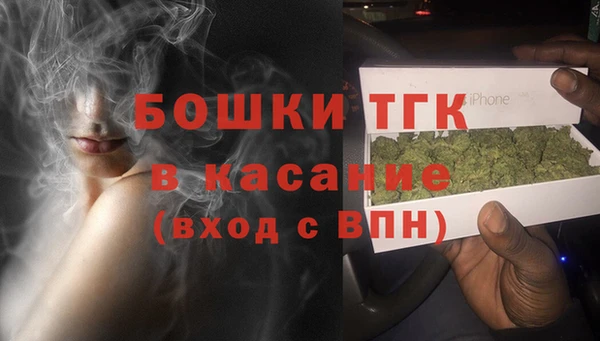 ПСИЛОЦИБИНОВЫЕ ГРИБЫ Заводоуковск
