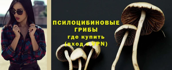 ПСИЛОЦИБИНОВЫЕ ГРИБЫ Заводоуковск