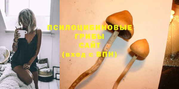 ПСИЛОЦИБИНОВЫЕ ГРИБЫ Заводоуковск