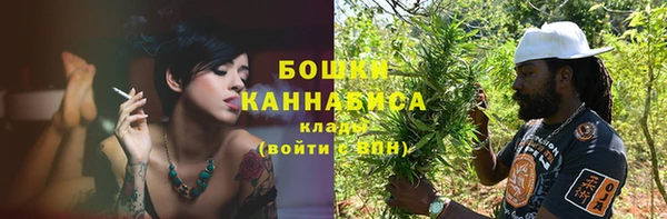 ПСИЛОЦИБИНОВЫЕ ГРИБЫ Заводоуковск