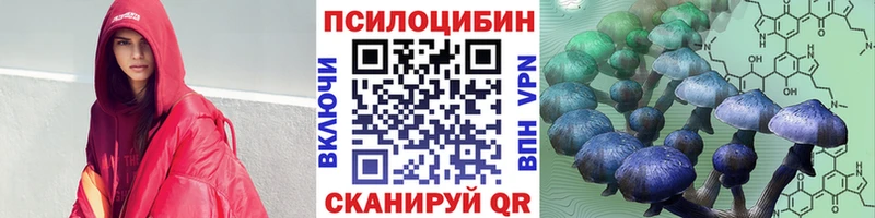 Псилоцибиновые грибы Cubensis Шенкурск