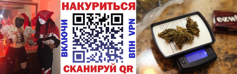 Бошки марихуана конопля  Купить закладки  Шенкурск 